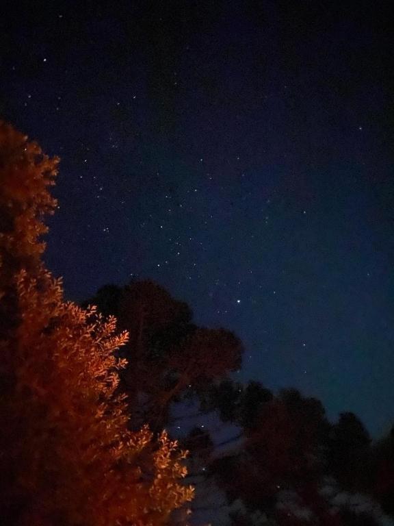 Recanto Luz Da Serra ウルビシ エクステリア 写真